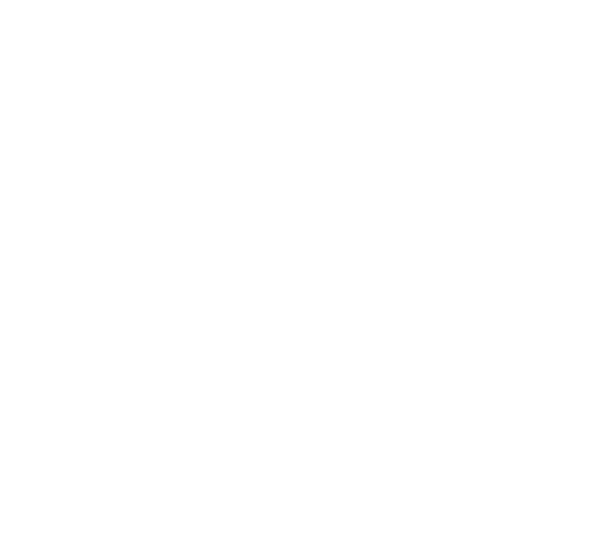 TARO TETSU